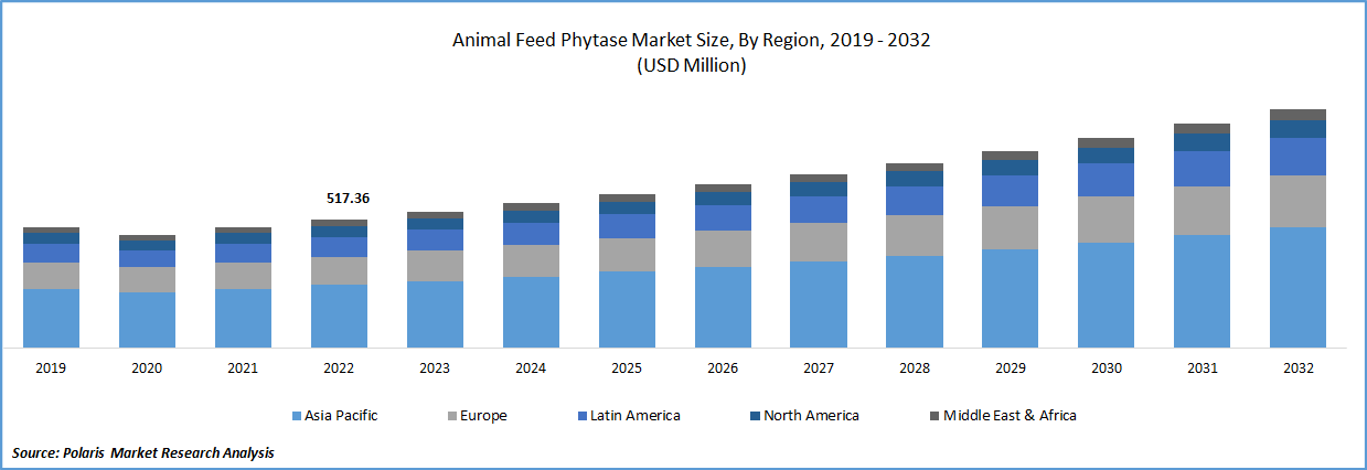 Animal Feed Phytase Market Size